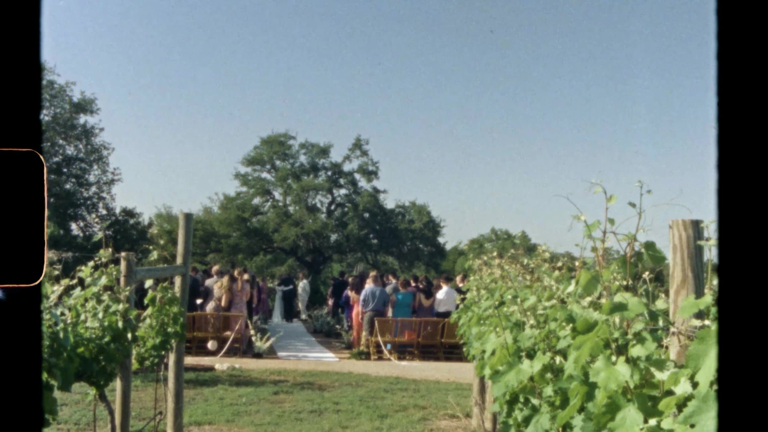 Pull back for the ceremony wide. Altar under the tree. Guests filling the chairs. Vineyard holding the sides. Whole day on Super 8 means cer