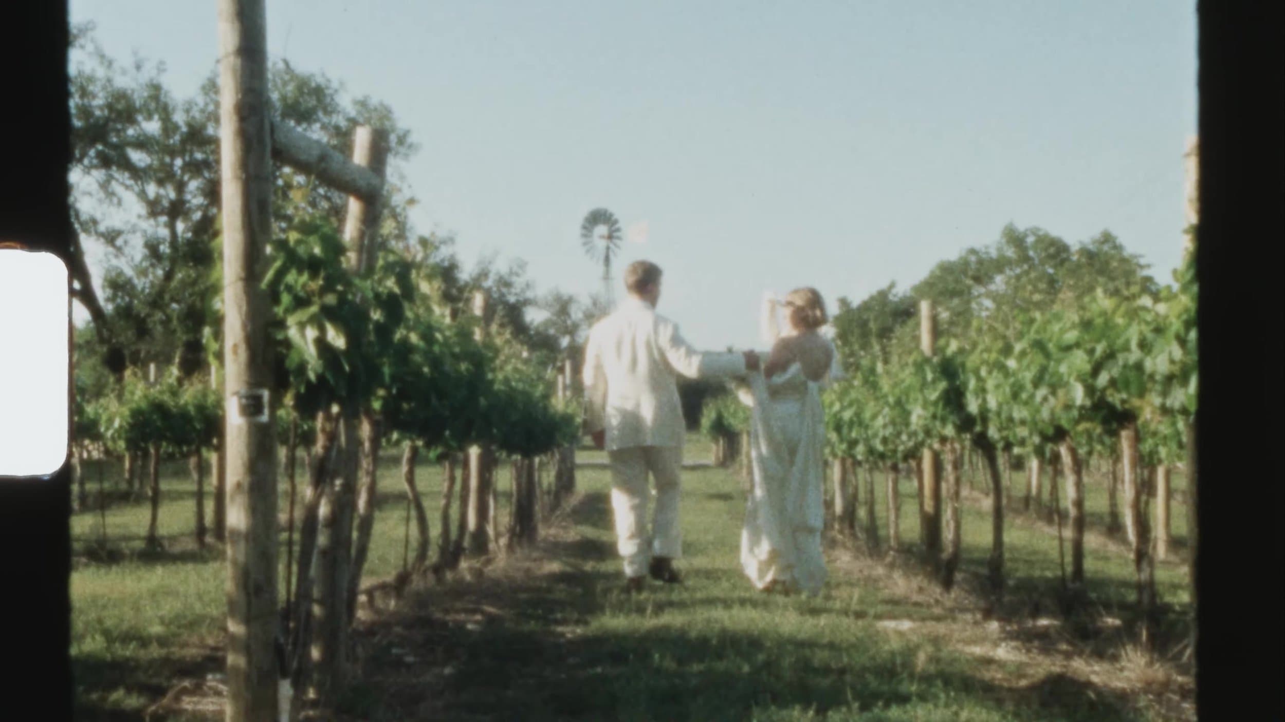 Sarah and Don walking between the vines at Camp Lucy Vineyards, a Super 8 still from their wedding film