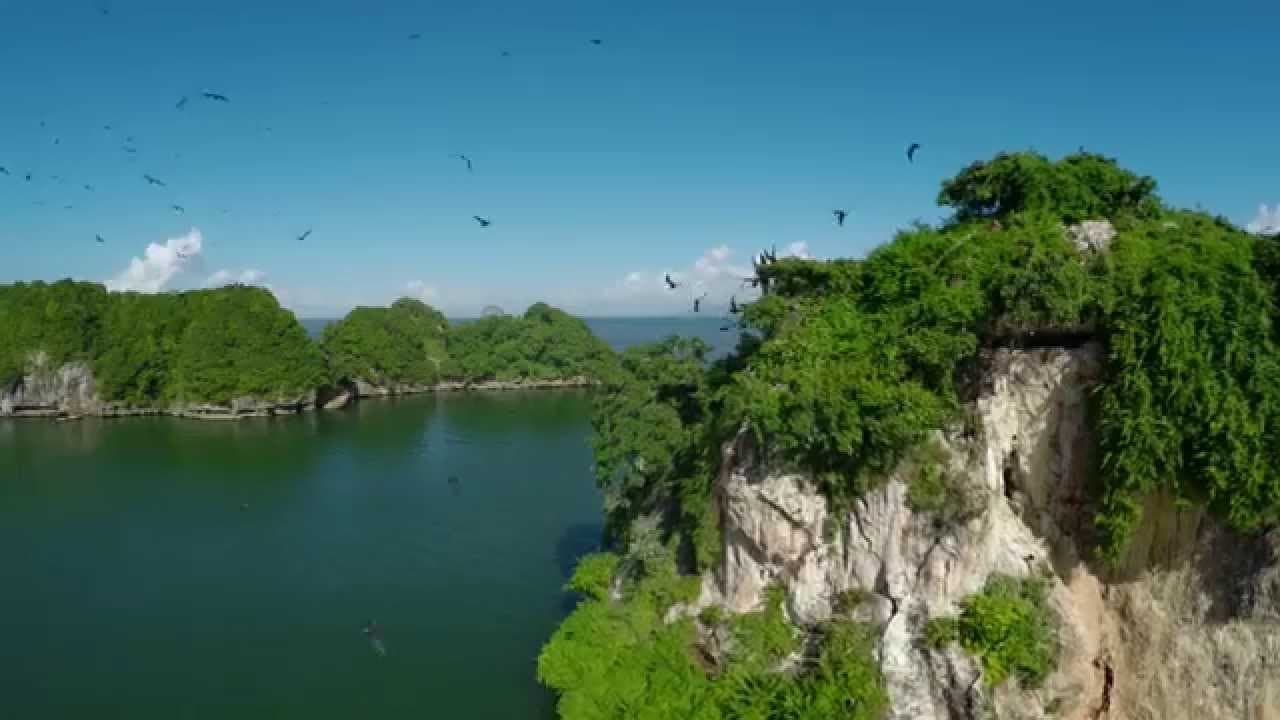 Los Haitises Destination Excursion Dominican Republic