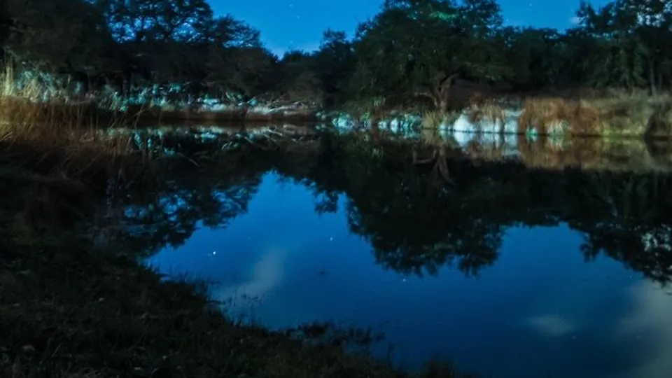 The pond at The Addison Grove reflecting the trees under a night sky