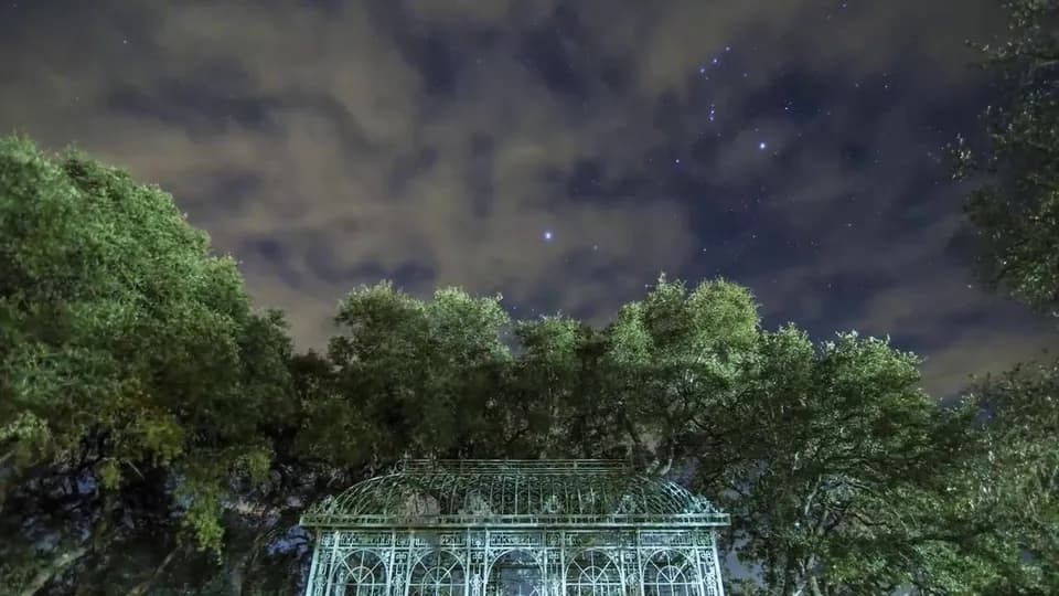 Stars over the oaks and a glass pavilion at Ma Maison